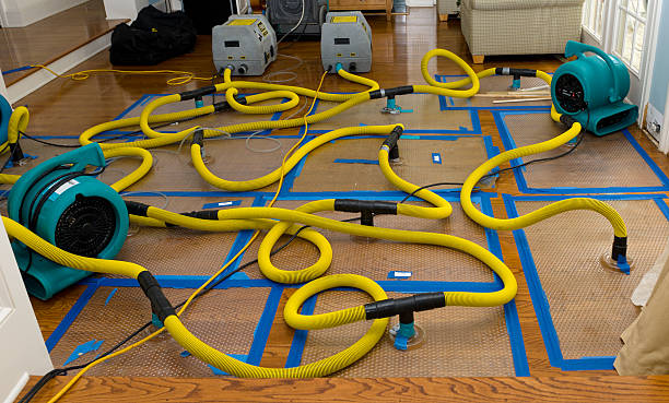 Professional Basement Flood Cleanup technician working in Deer Isle, ME